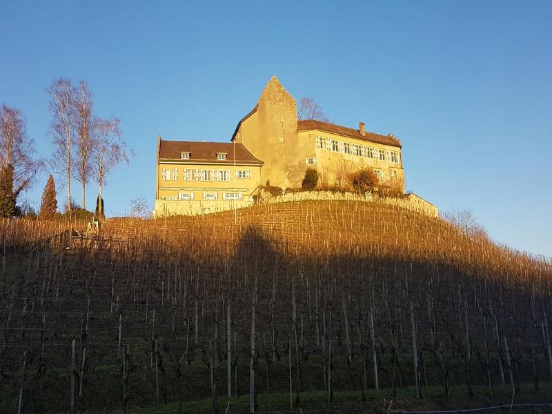Hotel Restaurant Schloss Schwandegg image