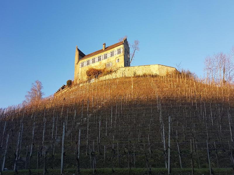 Hotel Restaurant Schloss Schwandegg image