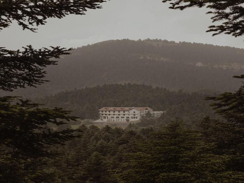 Manna A Member Of Design Hotels image