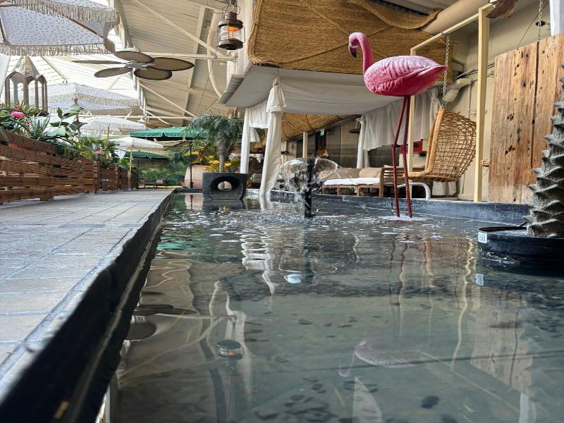 Abalu Hotel Design & Boutique - Adults Only image