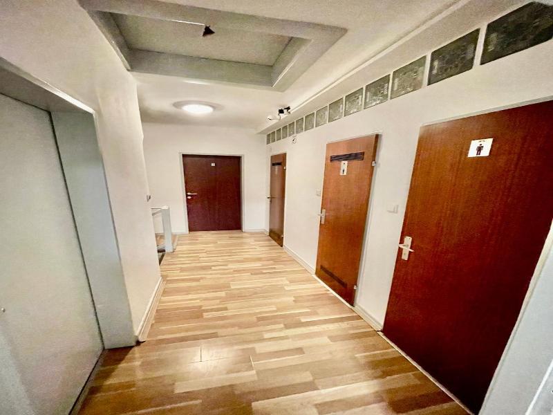 Adelin Vienna image