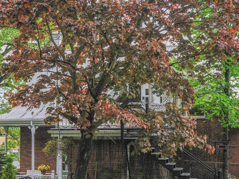 Appartement Jacques Cartier