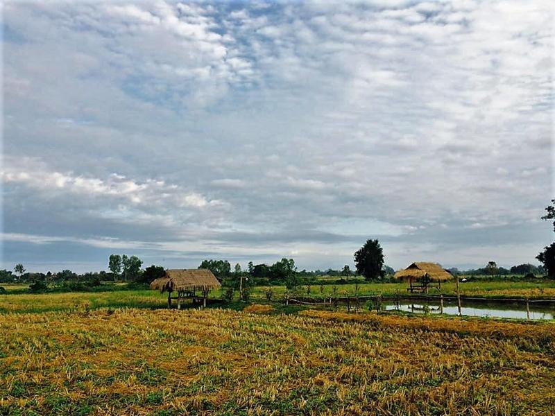 The Vacation Baanraipaina image
