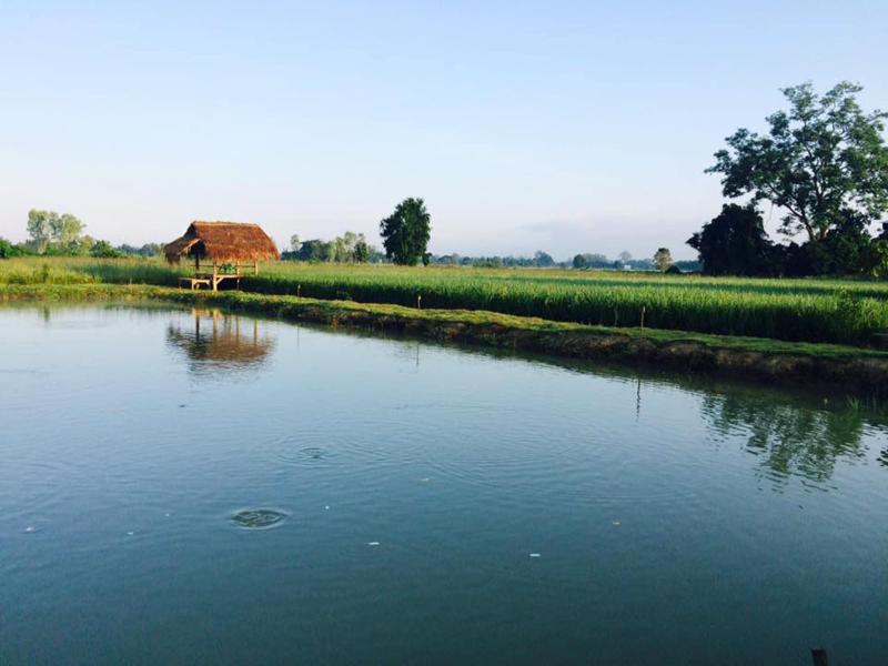 The Vacation Baanraipaina image