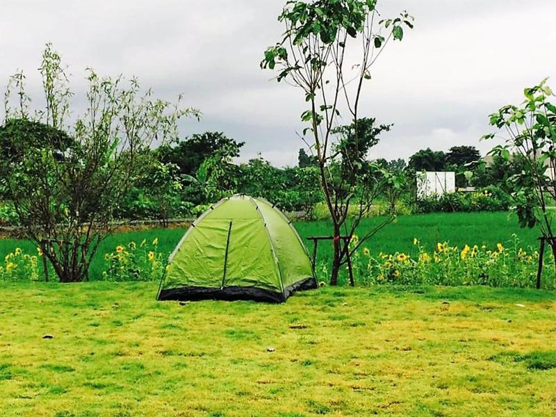 The Vacation Baanraipaina image