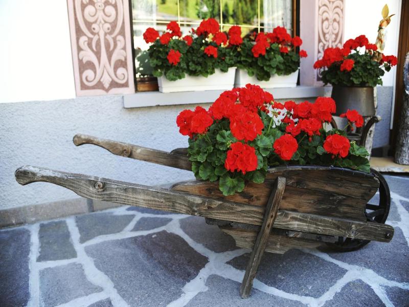 Albergo Venezia image