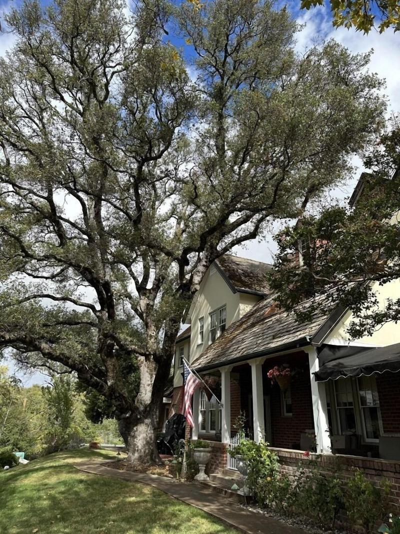 The Inn On Knowles Hill image