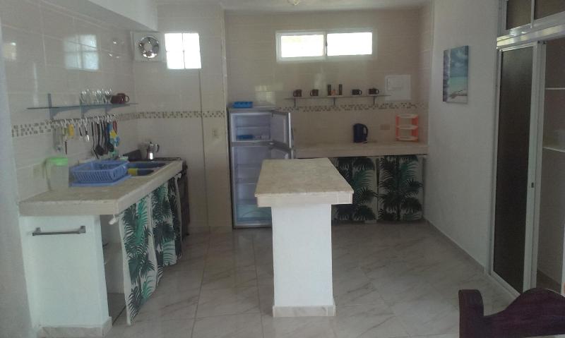 Dre Broeders Rent Apartments Juan Dolio image
