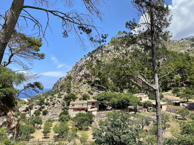 Finca Ses Fontanelles image
