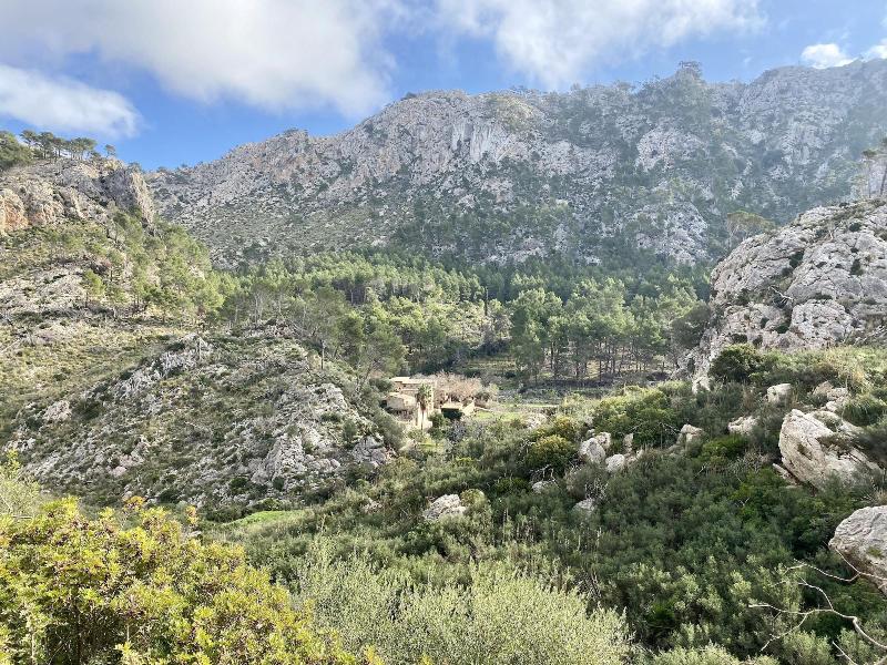 Finca Ses Fontanelles image
