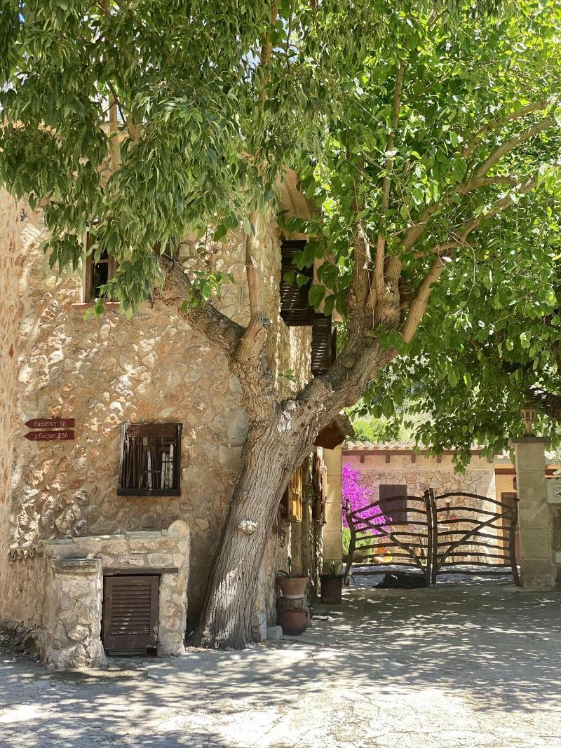 Finca Ses Fontanelles image