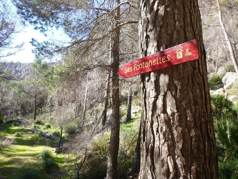 Finca Ses Fontanelles image