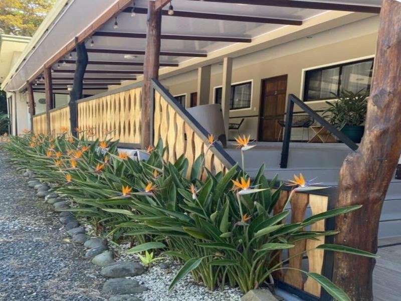 Nata Ra Hotel Monteverde image
