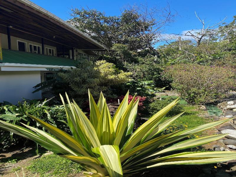 Nata Ra Hotel Monteverde image