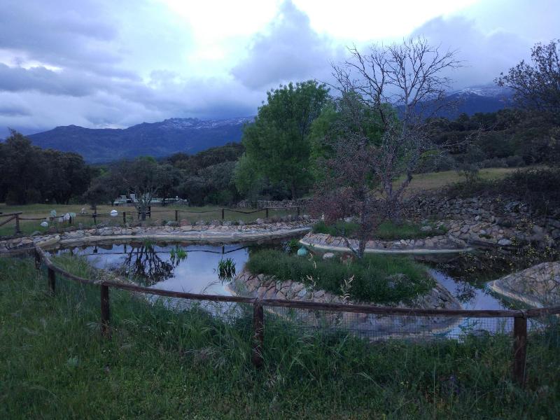 Hotel Rural Finca Liceo image