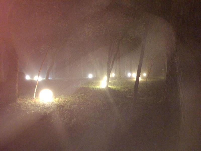 Hotel Rural Finca Liceo image