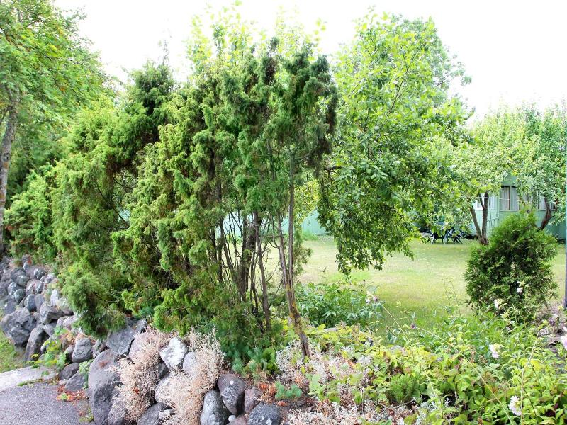 Kraavi Guest Hostel image
