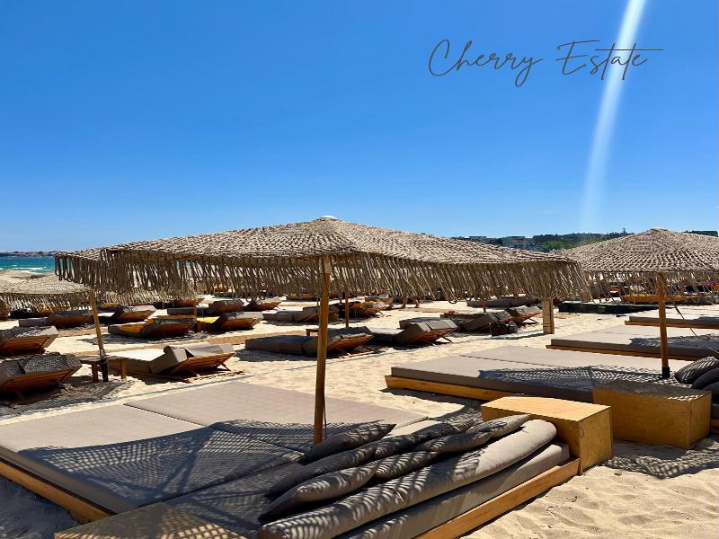 Oazis Vip Club image