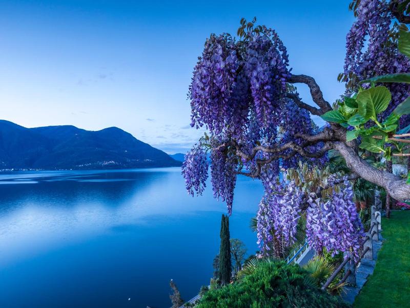 Boutique Hotel La Rocca image