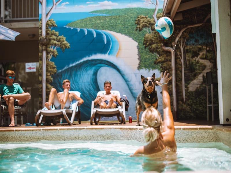 Noosa Flashpackers image