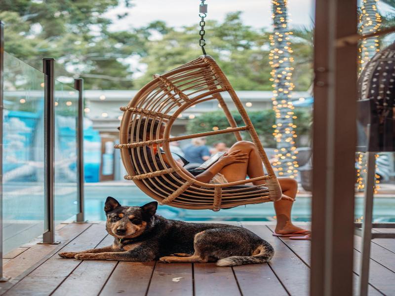Noosa Flashpackers image
