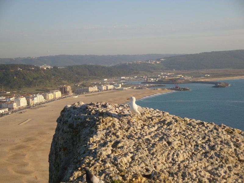 Hotel Ancora Mar image