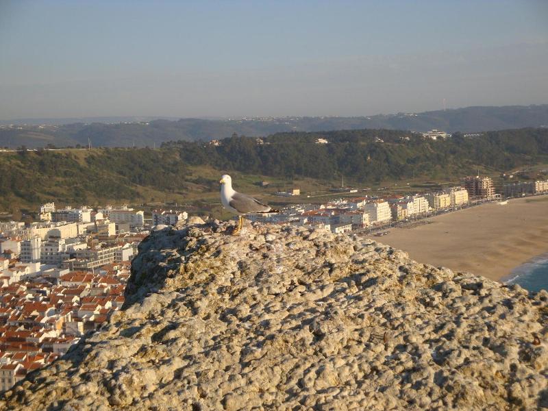 Hotel Ancora Mar image