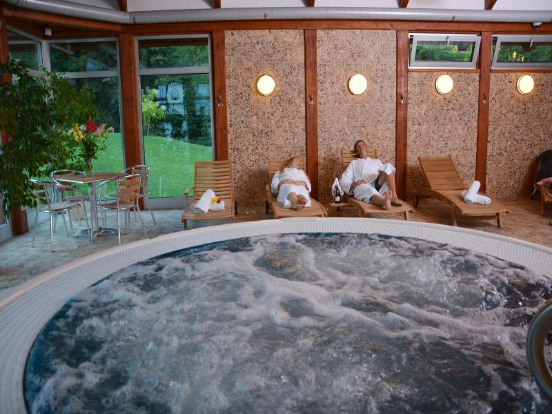 Spa Wellness Hotel Harmonie image