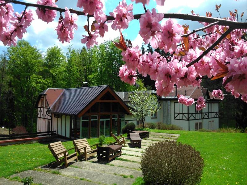 Spa Wellness Hotel Harmonie image