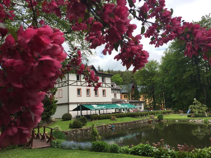 Spa Wellness Hotel Harmonie image