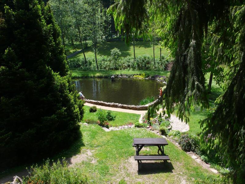 Spa Wellness Hotel Harmonie image