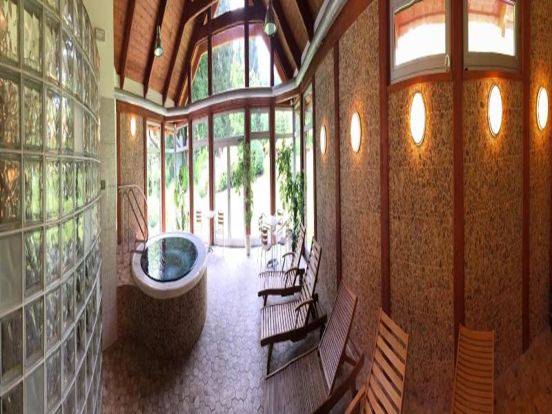 Spa Wellness Hotel Harmonie image