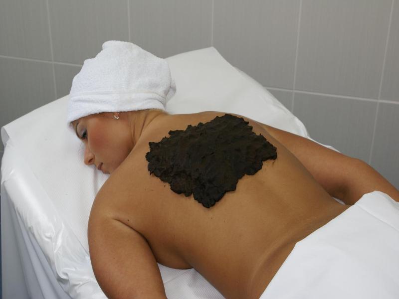 Spa Wellness Hotel Harmonie image