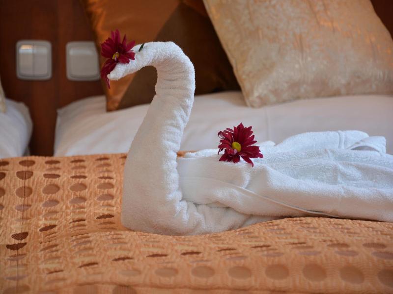 Spa Wellness Hotel Harmonie image