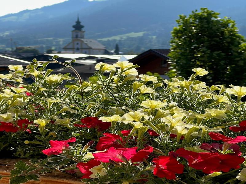 Residenz Theresa image
