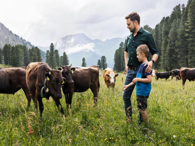 Berggasthaus Hv Llensteinhv Tte image