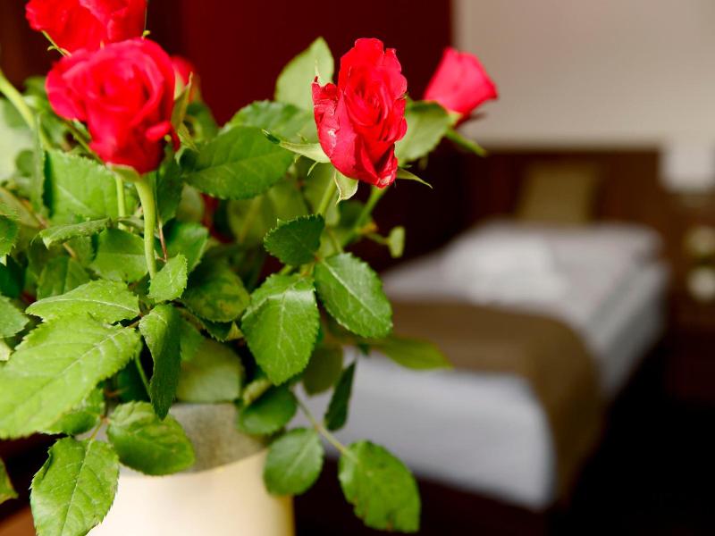 Hotel U Hada Oatec image