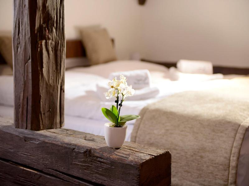 Hotel U Hada Oatec image