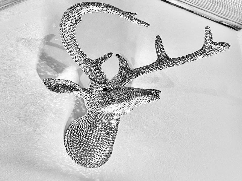 Andi S Skihotel image