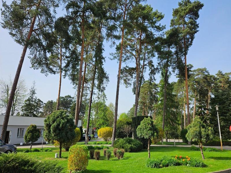 Hotel Ossowski image