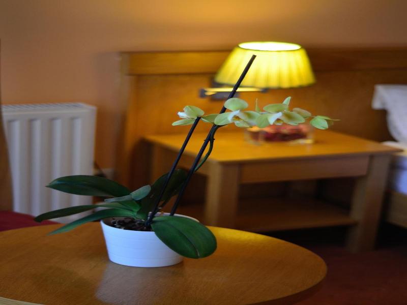 Hotel Restaurant Gonduzo
