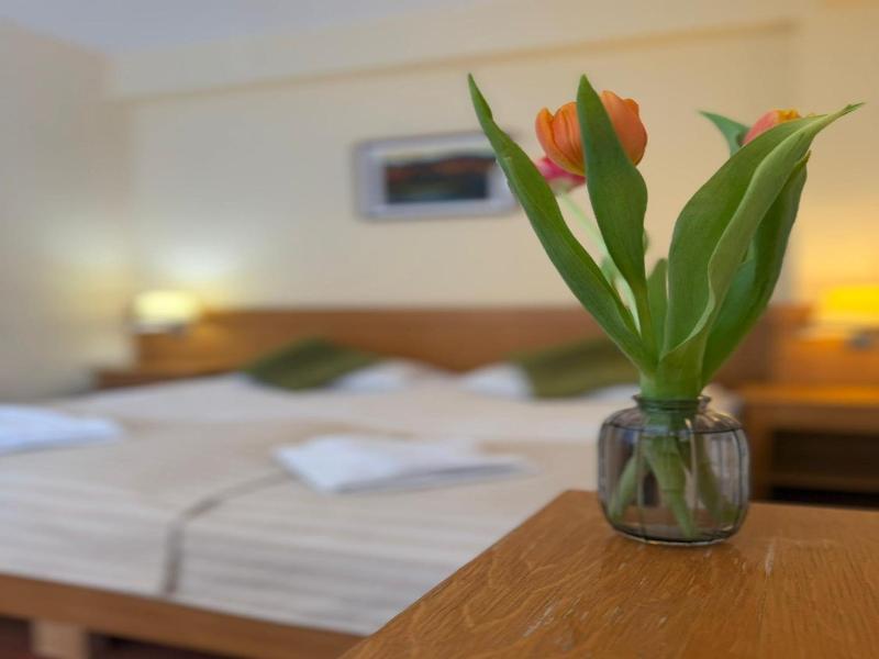 Hotel Restaurant Gonduzo