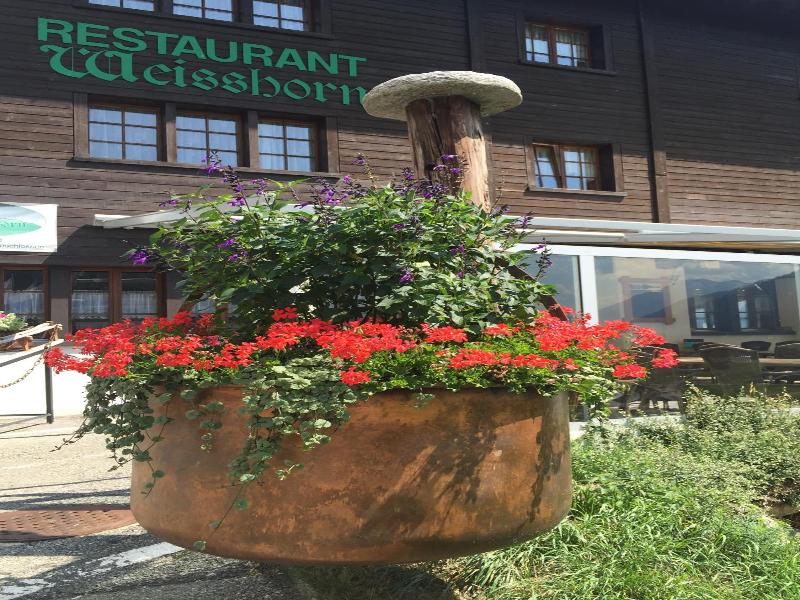 Hotel Weisshorn image