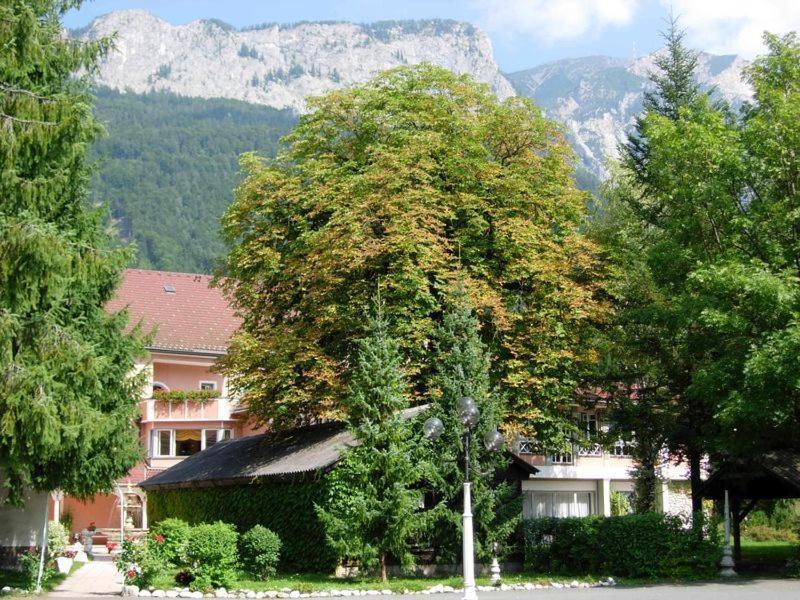 Hotel Marko image