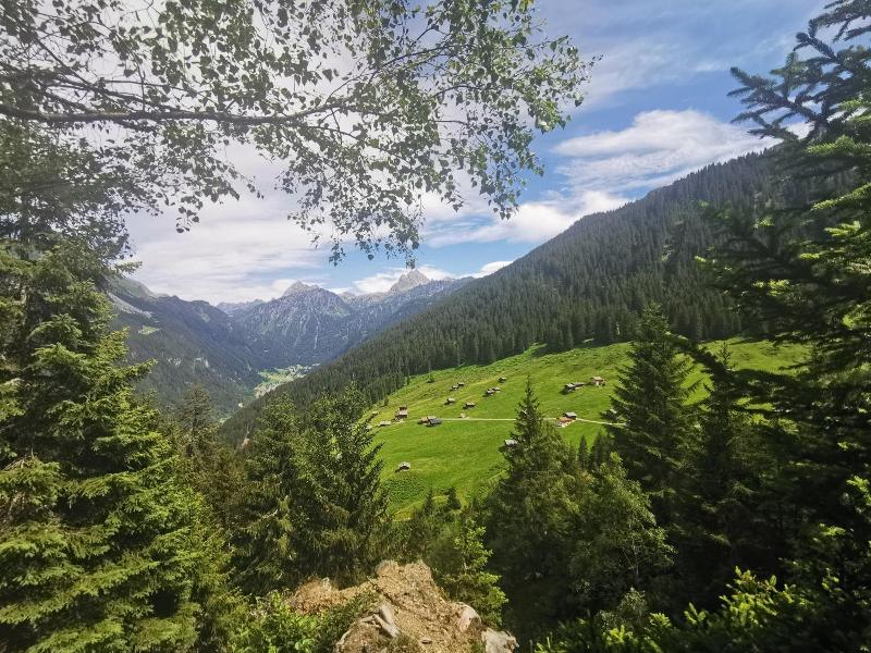 Partenerhof image