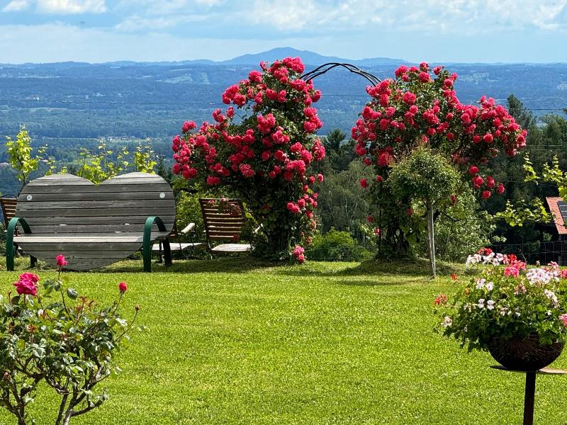 Panoramahotel Steirerland image