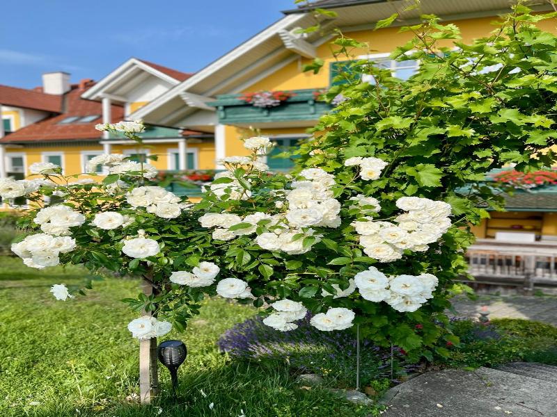 Panoramahotel Steirerland image