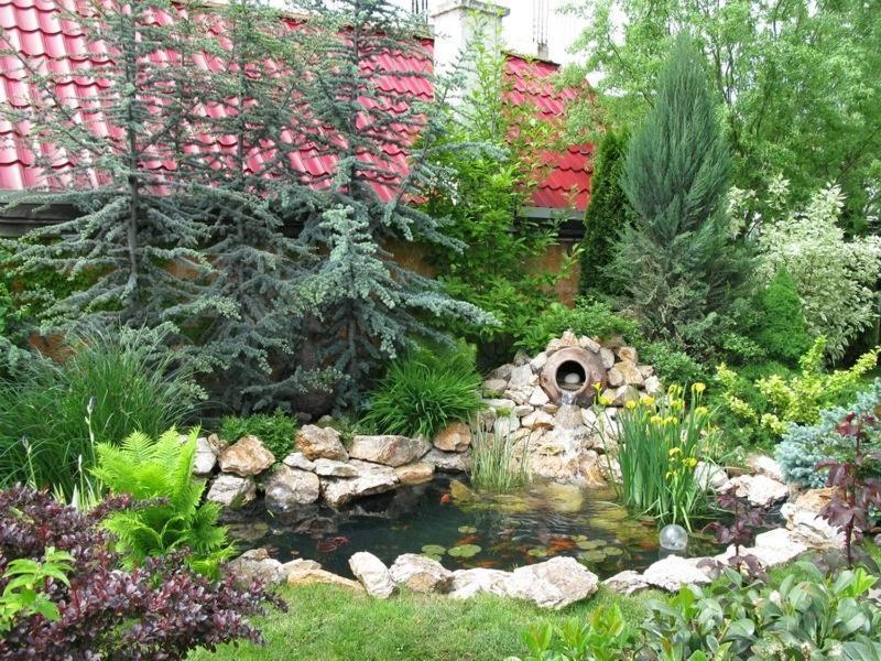 Hotel Oasis image