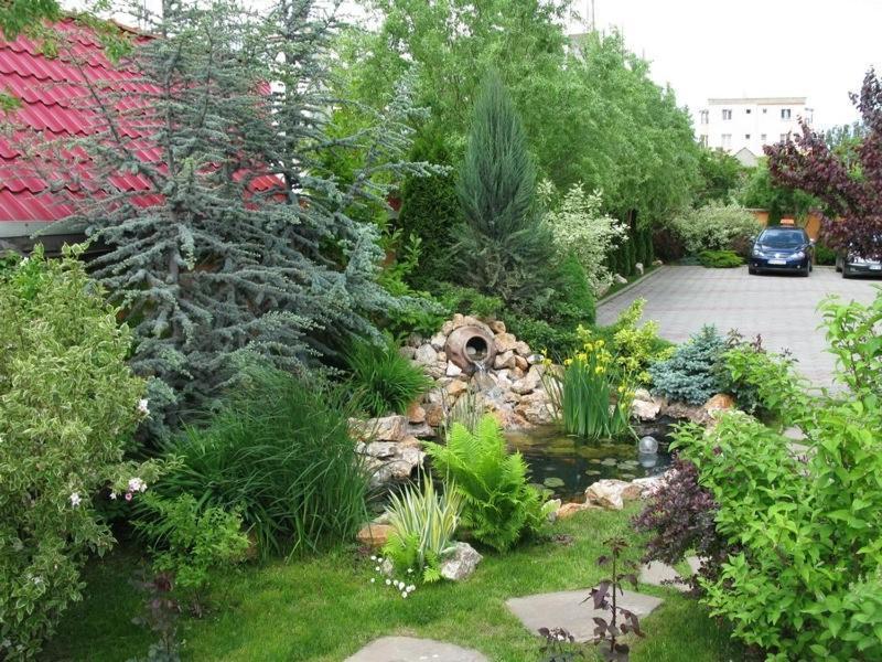 Hotel Oasis image
