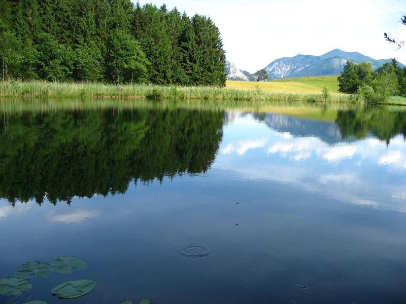 Landgasthof Spitzerwirt image